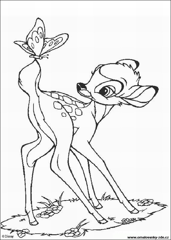 Omalovánky Bambi - disney