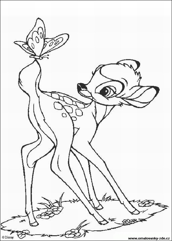 Omalovnky Bambi - disney